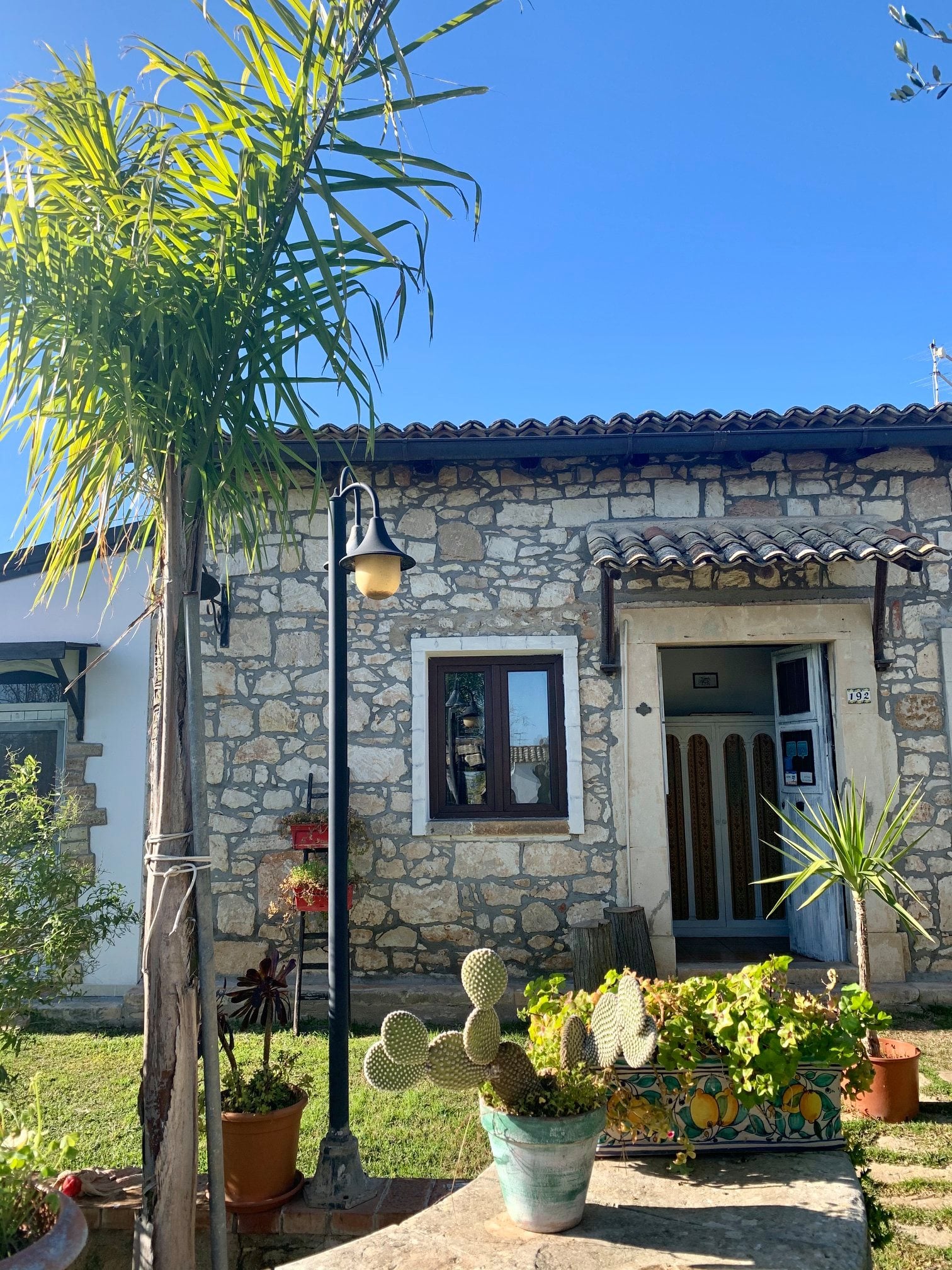 Vista panoramica sugli agrumeti al tramonto