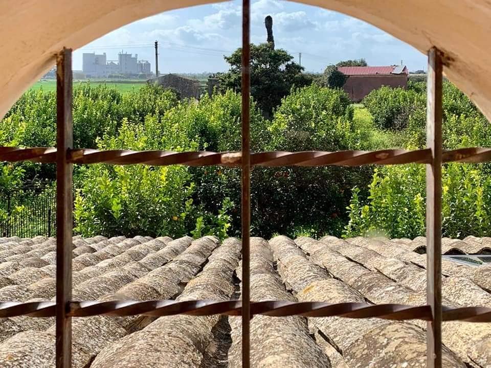 Vista sulla macchia mediterranea e gli agrumeti siciliani